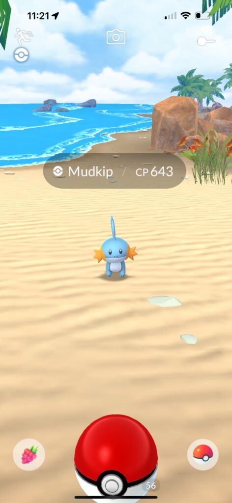Is there anything more adorable than a Mudkip?!
