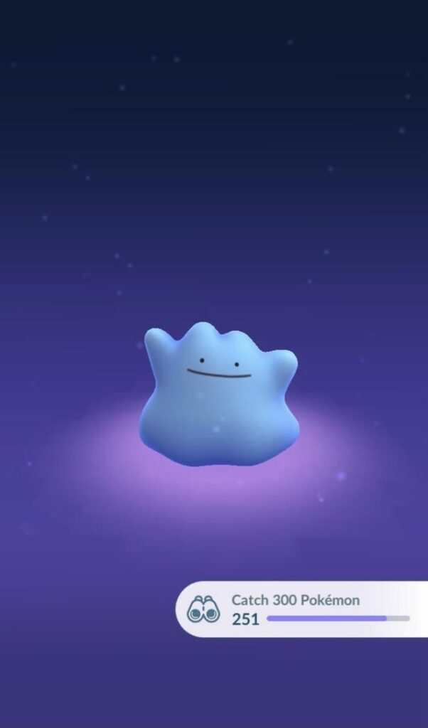 The other day I had a pleasant surprise at the end of my walk.