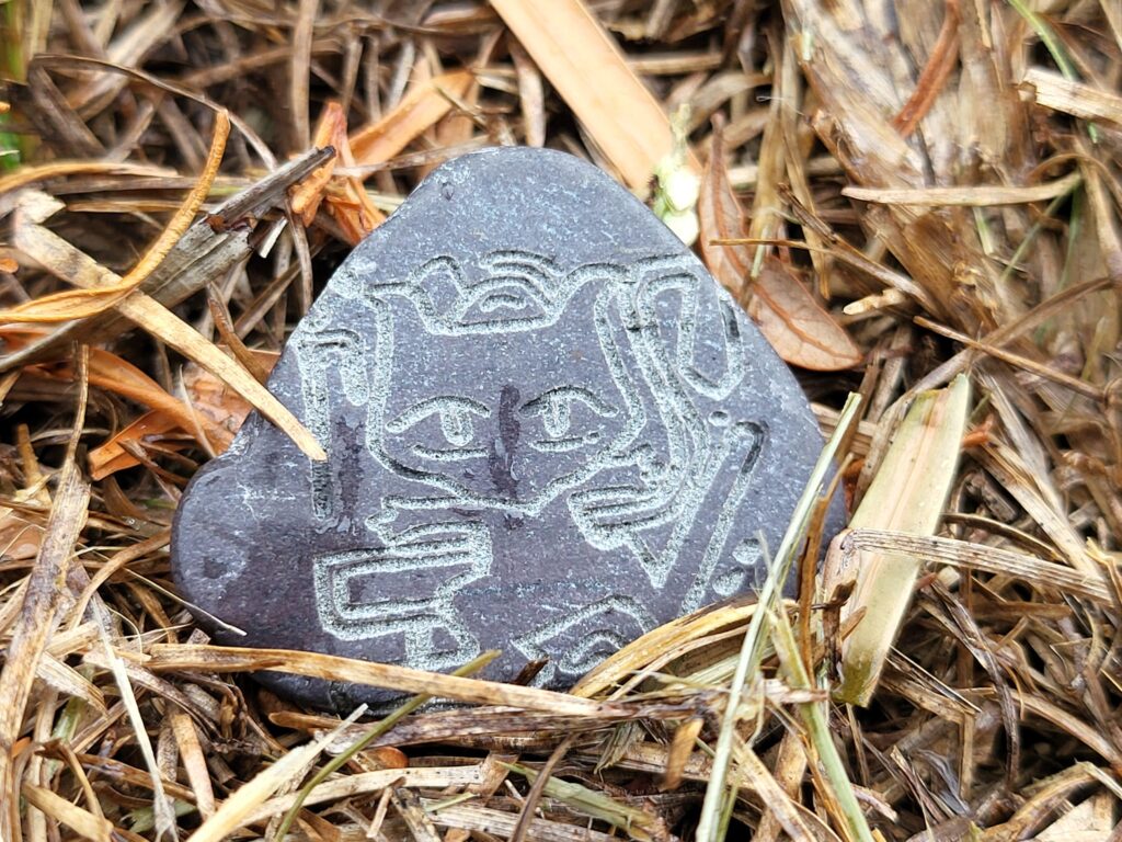 You guys ever seen a rock like this?