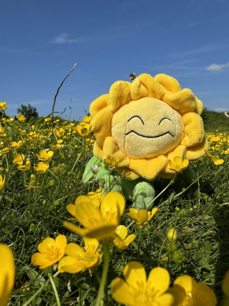 Really proud of this shot I took with Sunflora 🥰
