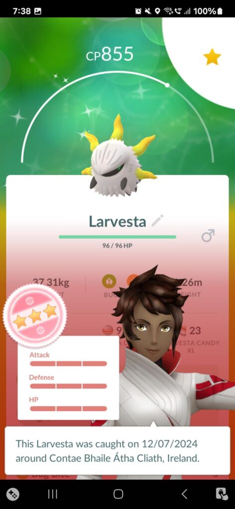 My first ever SHUNDO