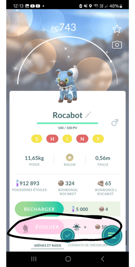 Just found this shiny Dusk Rockruff in the wild, are they garanteed ?