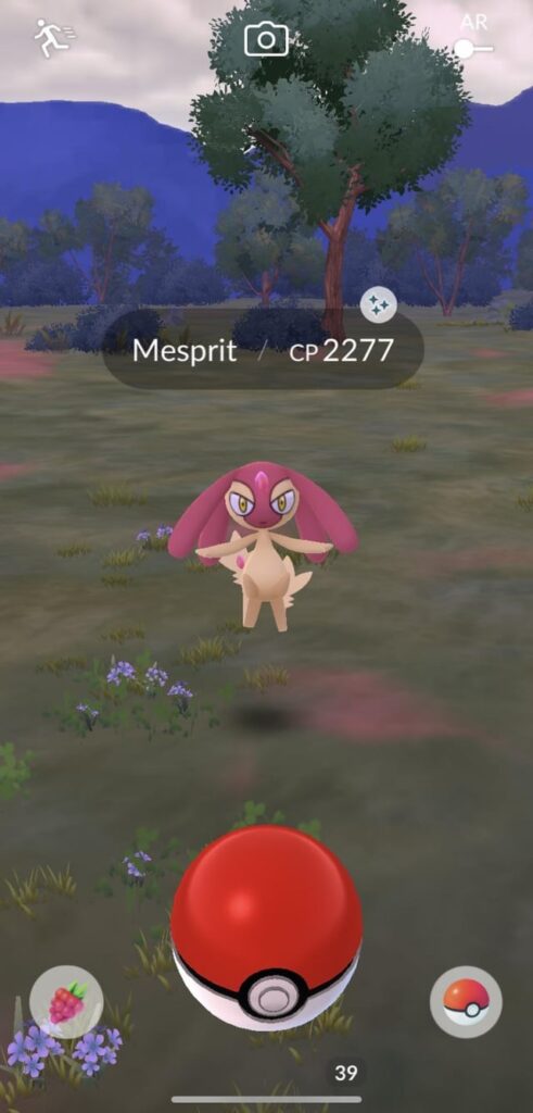 Mesprit wild catch