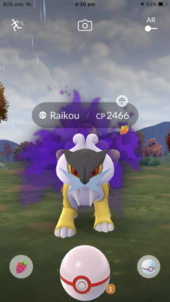 I think this was a good use for the Masterball