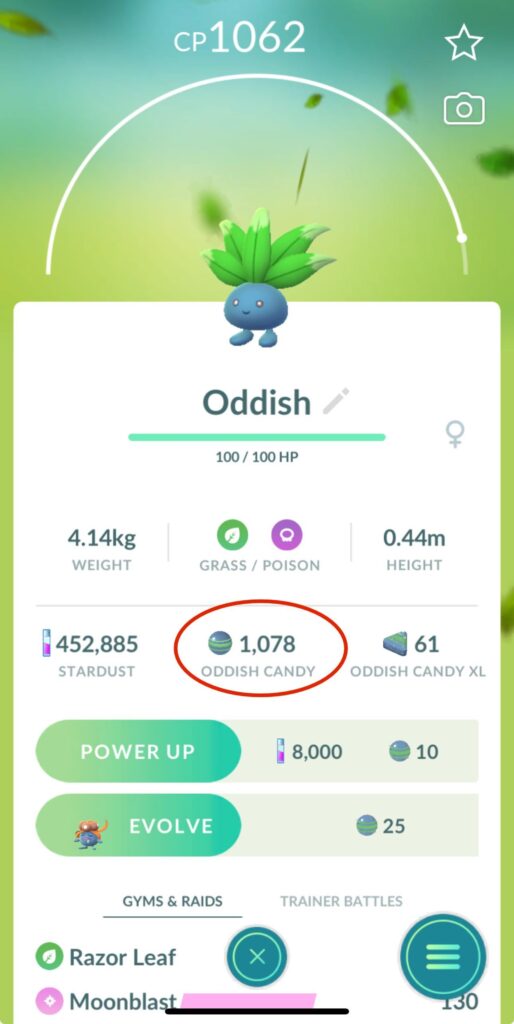 I’ve been playing again for about a month now and never miss an Oddish in my quest for a shiny Bellossom😂