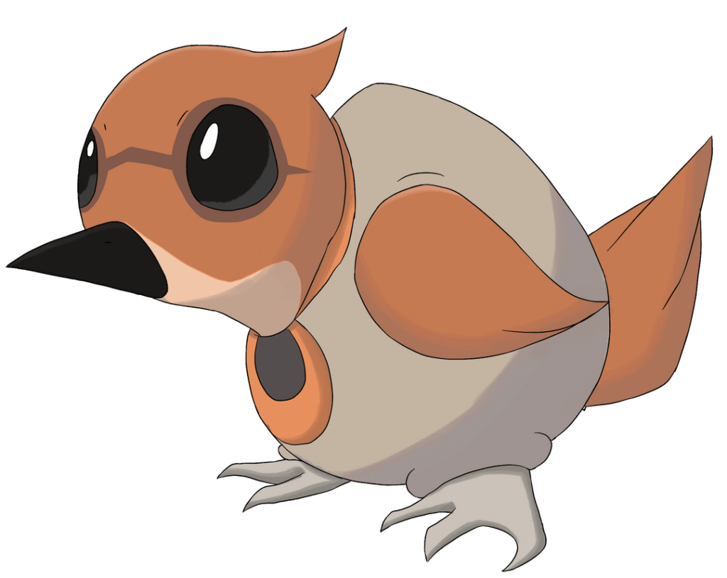 Early Route Bird for the Arges region