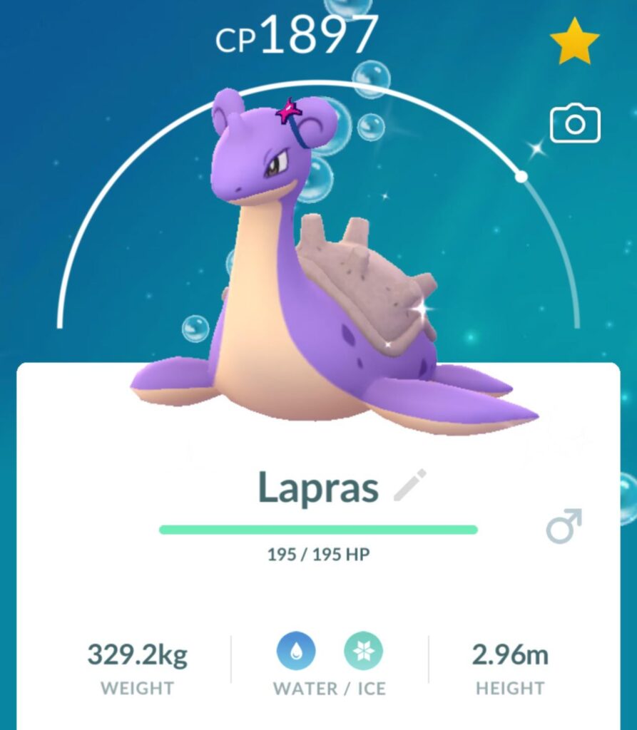 Lapras with a bow?¿