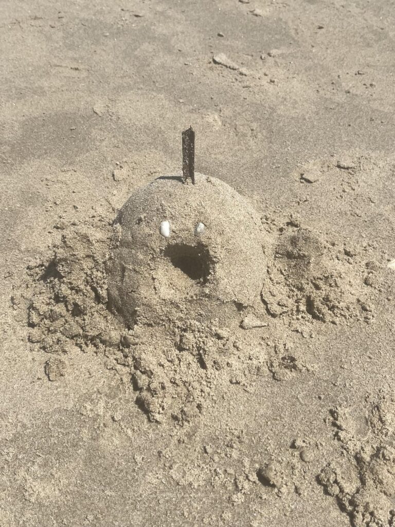 that one time I made (well, tried to make) a Sandygast and Palossand at the beach 😅
