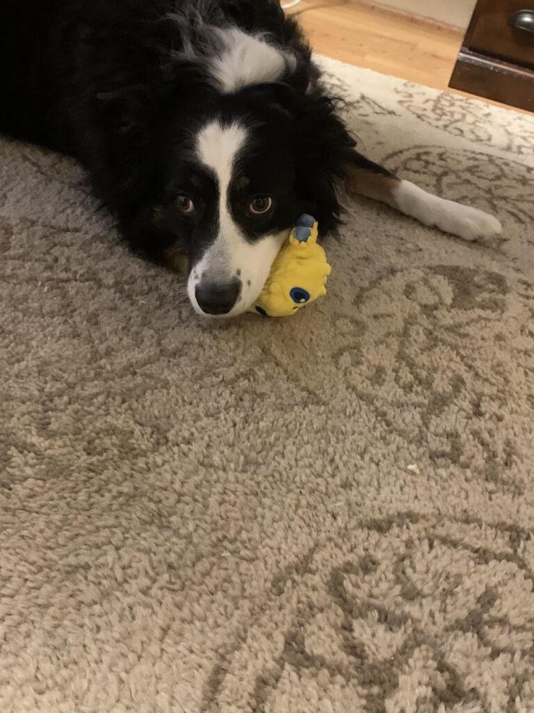 Harmony Really likes Joltik! :)