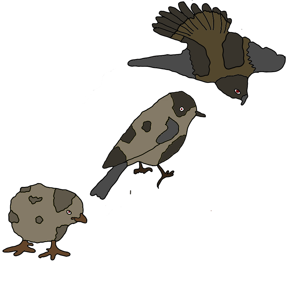 Introducing: the Terriken line.