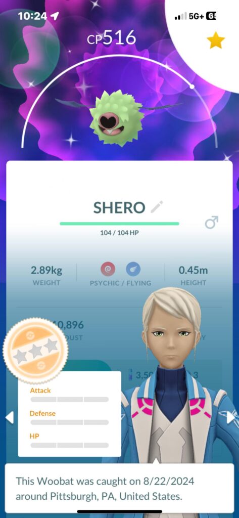 I introduce to you. A Shero