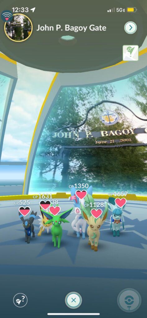 I started this gym and boy did it deliver