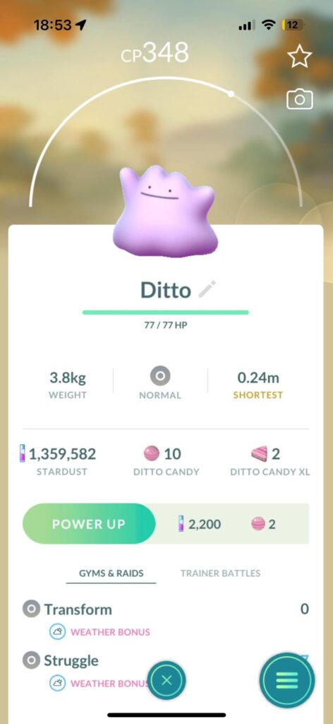 I finally caught a ditto 🥹🥹