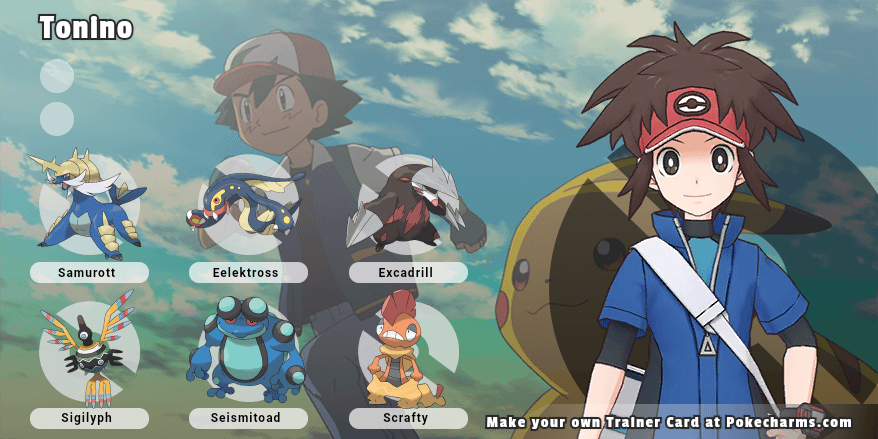 Pokémon black 2 team