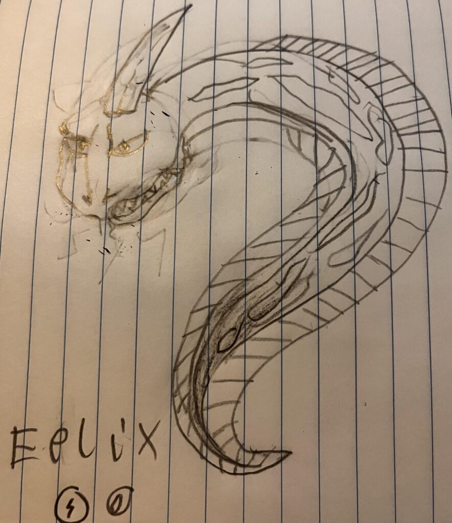 My conversant for Onix, Eelix an electric and water Pokémon. (I’m not the best at drawing