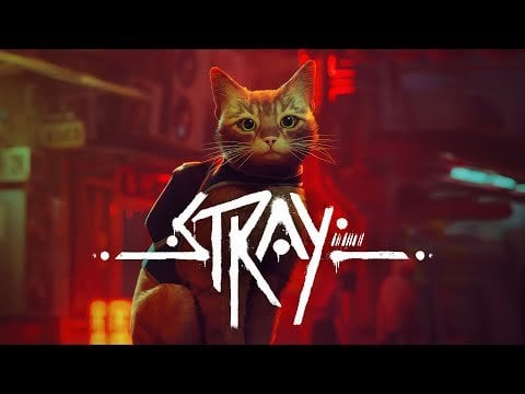 Stray releasing on Nintendo Switch on November 19