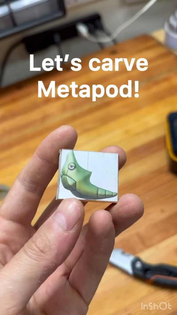 Carved a Metapod!