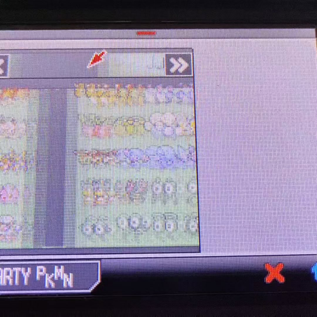 Pokémon Black - National Pokédex