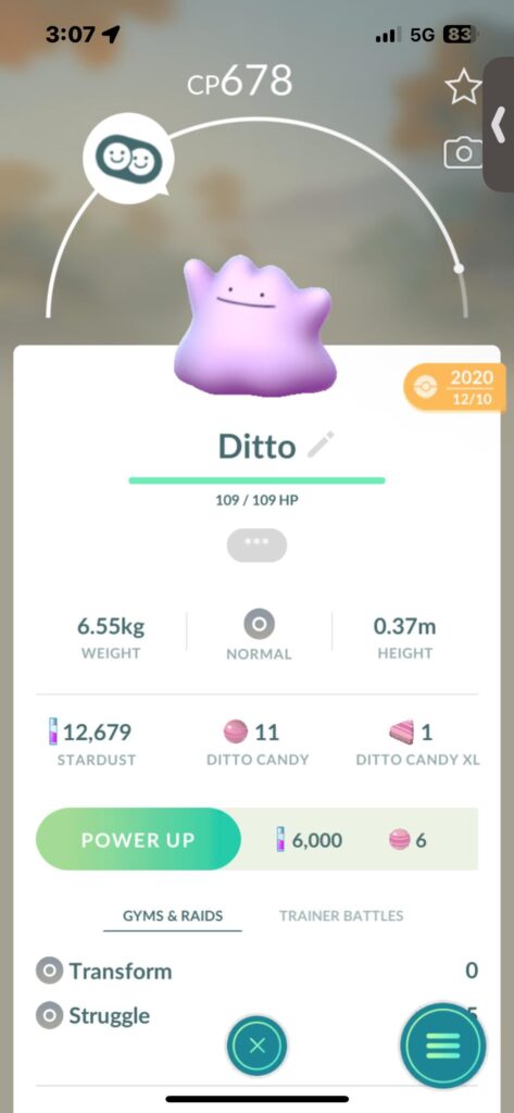 What should I name this little guy?