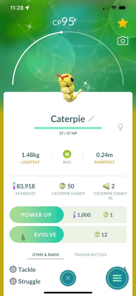 Should I evolve this shiny Caterpie?