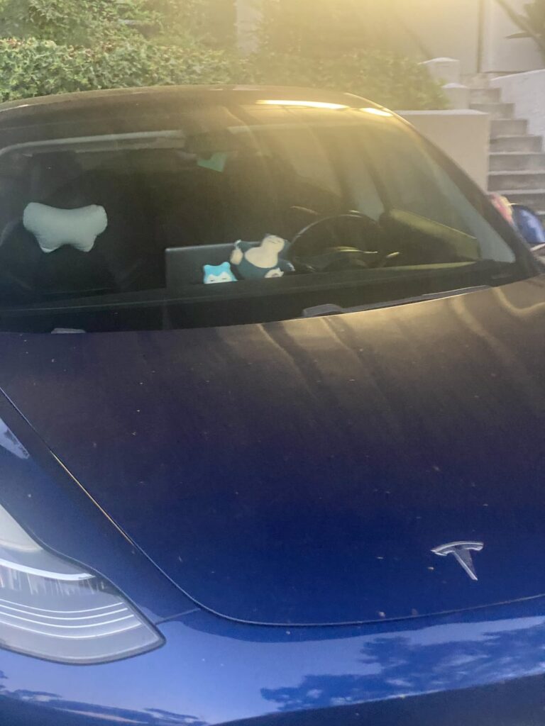 Unexpected gift in return