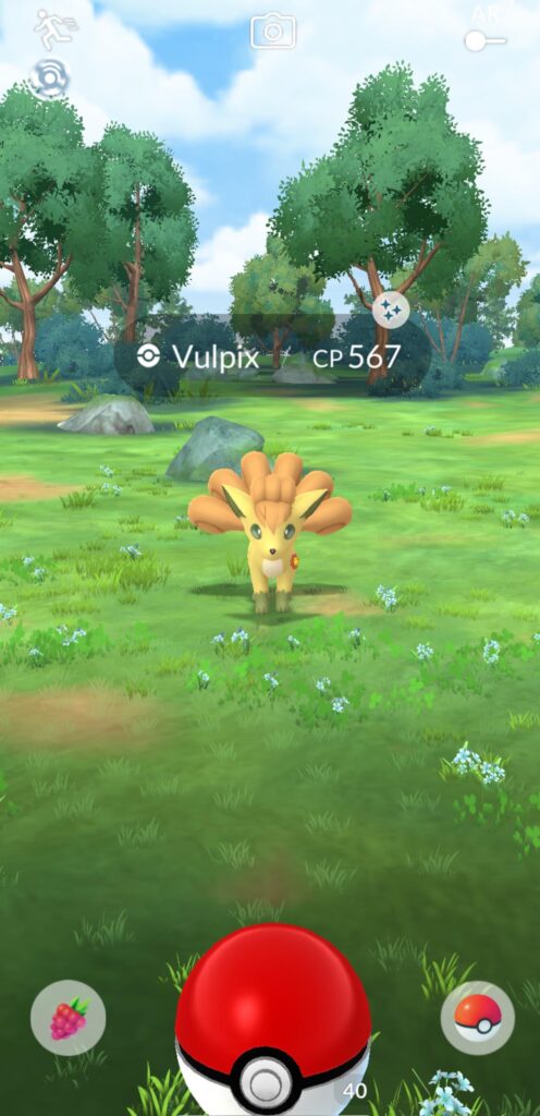 Oh? I didn’t know you can catch wild best buddies! /s