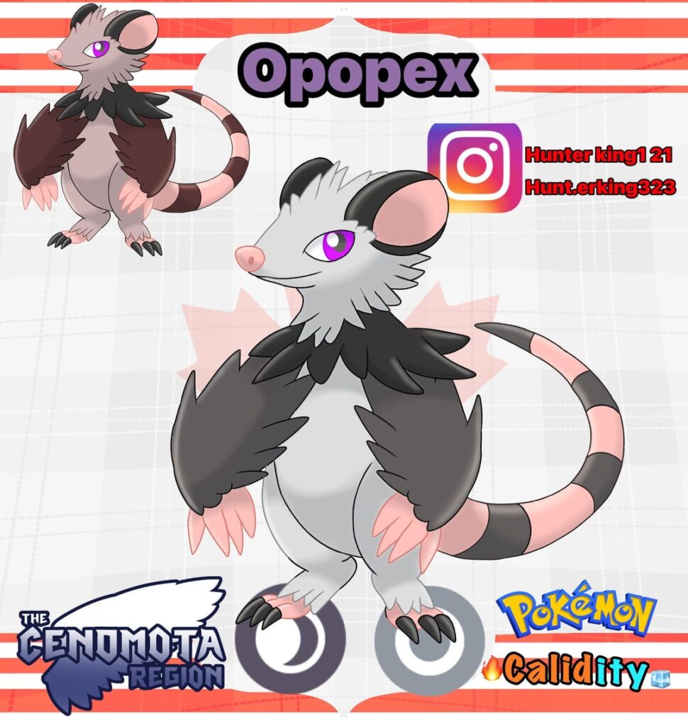 Here is a Pokemon based on an oppossum for this Canada region