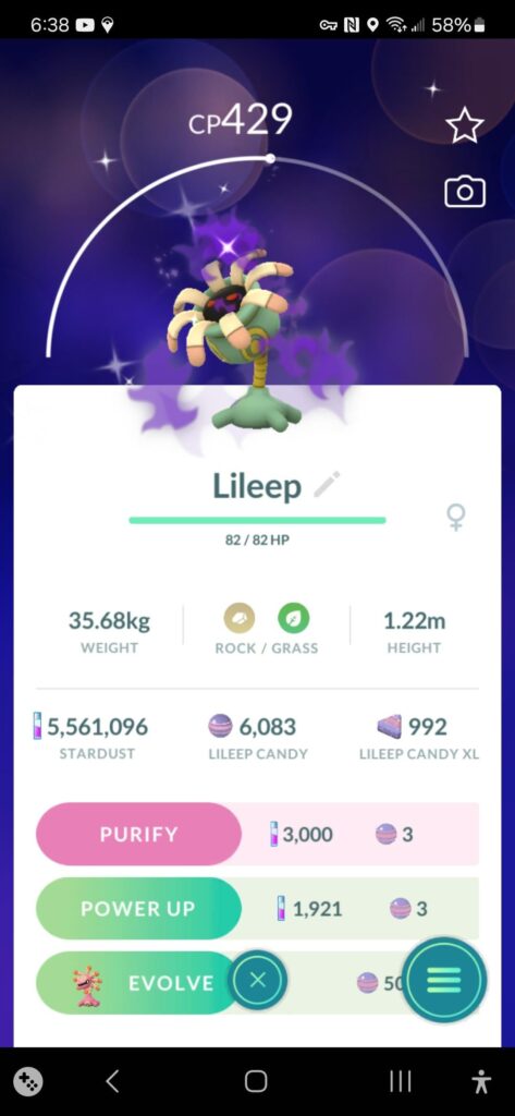 Got All Three Shadow Shinies!