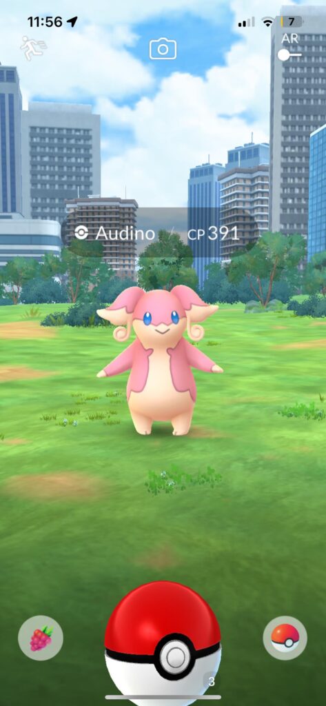 Last thing you see before you waste ~10ish Pokeballs 😩