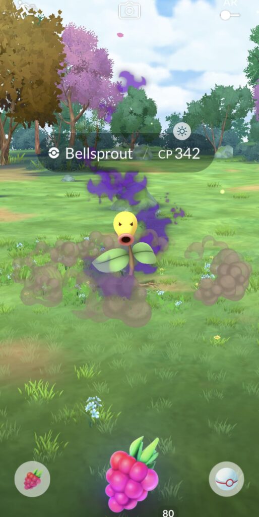 Oh wow. Another Shadow Bellsprout. I am so excited. Wow.
