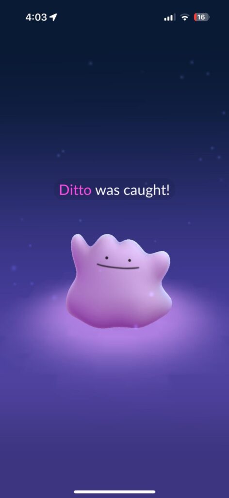 I went *literally* 1.5 years without a ditto. Just found 2 in 20 hours