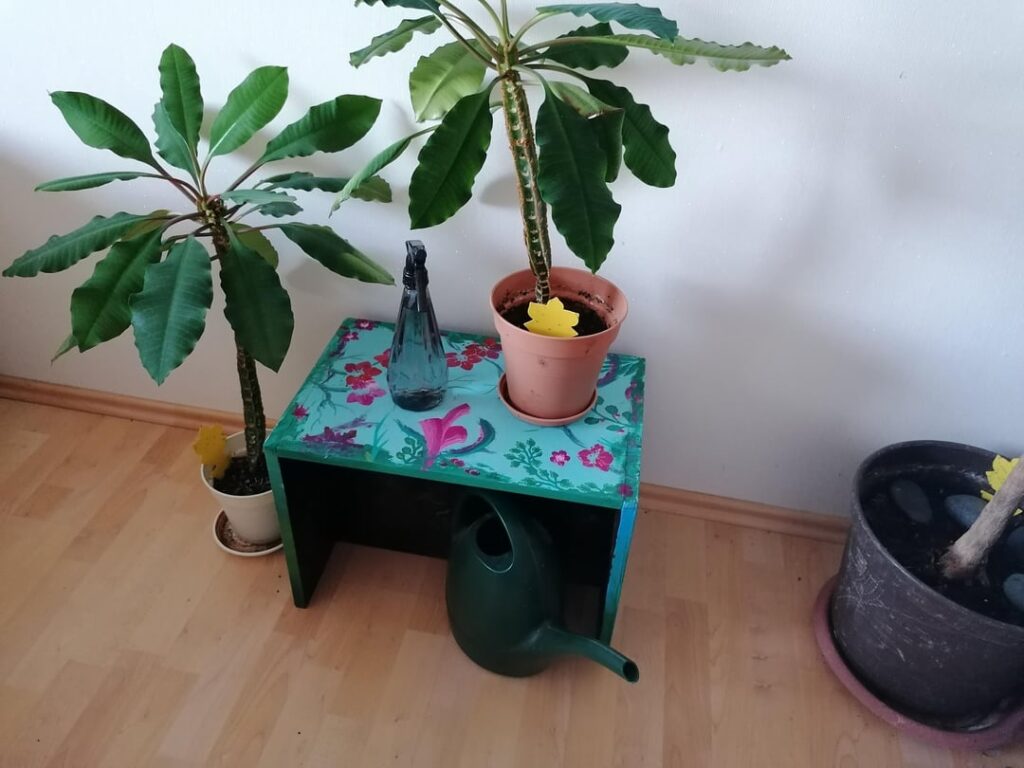 I wanted to spice up my room a bit.
