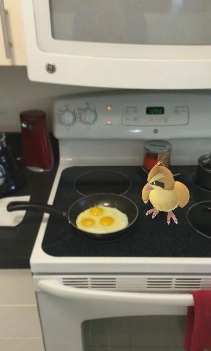 Should I catch him or apologize?