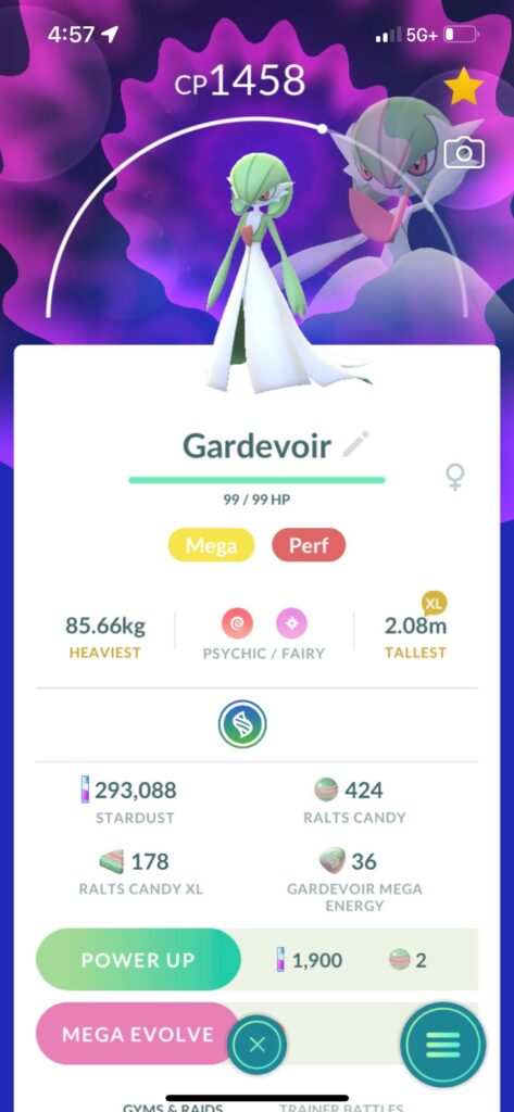 The placement of the Mega symbol. Do you see it?