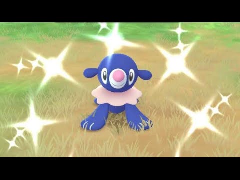 Popplio Community Day - New Shiny Hunt - LIVE - Pokemon GO