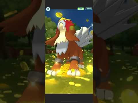 Lear ( Pasio ) & Gholdengo Solo Entei Legendary Arena [Pokemon Masters Ex]