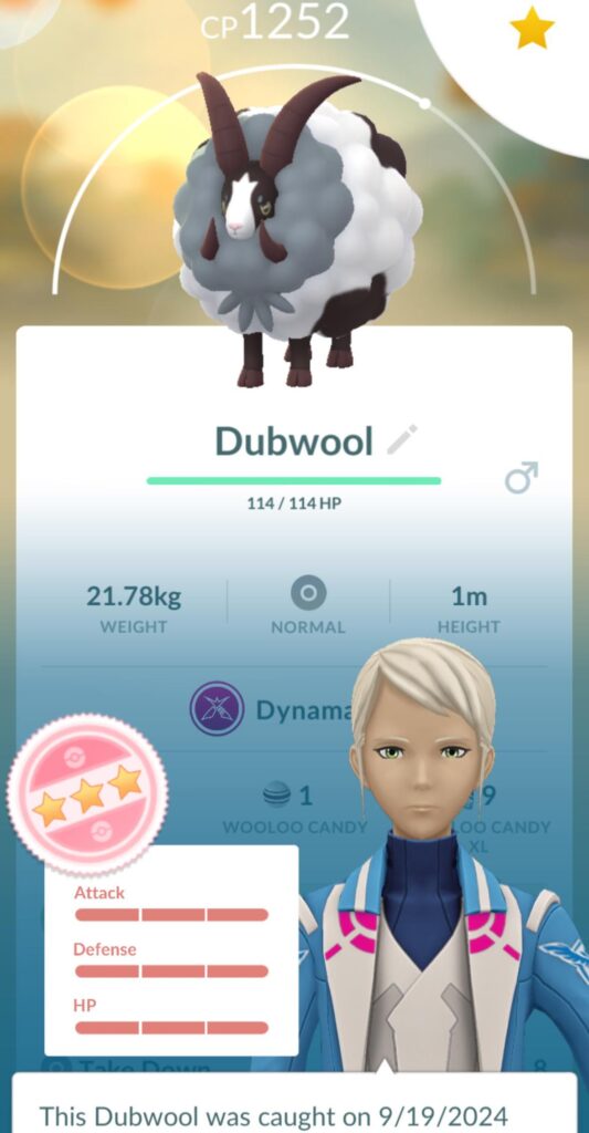 Perfect Dyna Dubwool