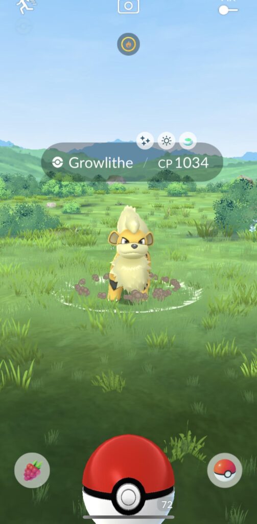 Found another shiny Growlithe!