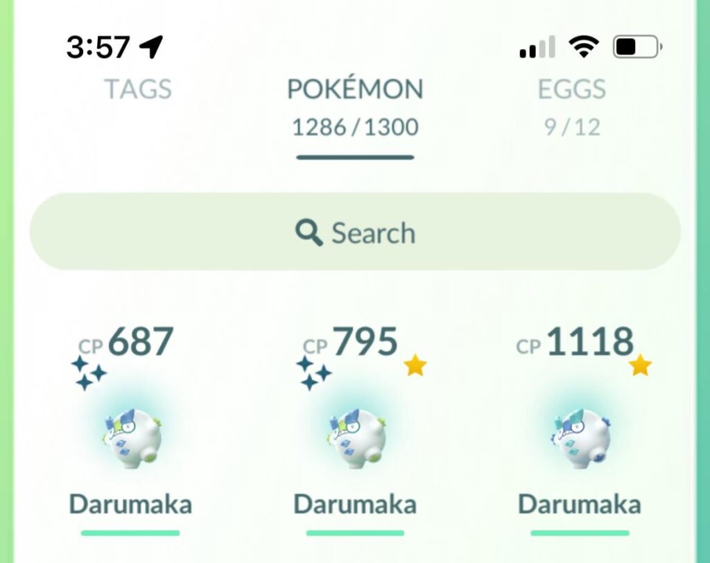 back to back shiny !!