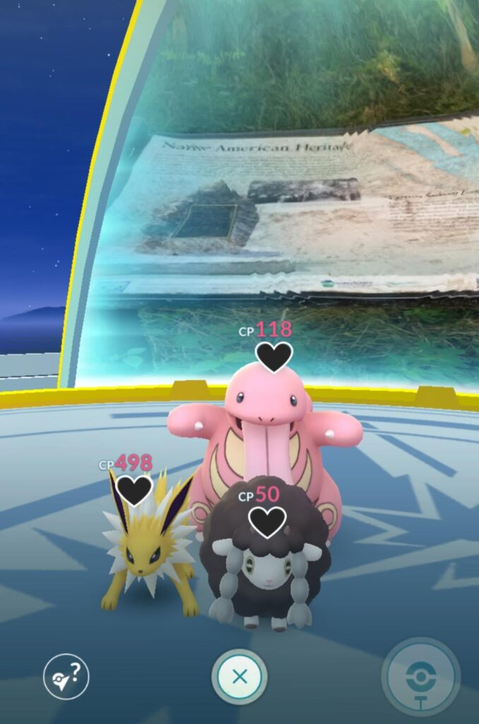 My wooloo has been gone for a while, checked in to see it getting absolutely violated