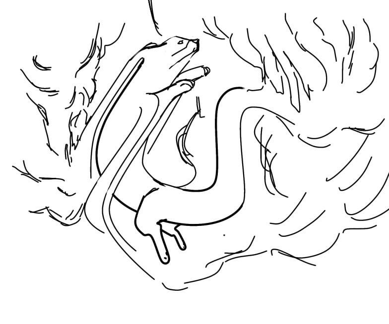 Fire dragon type dog train!