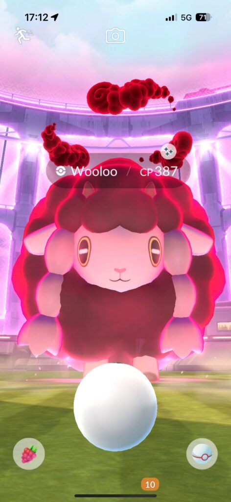 I got my first shiny Dynamax Pokemon! Curious to know is there an official name for a Dynamax + Shundo?