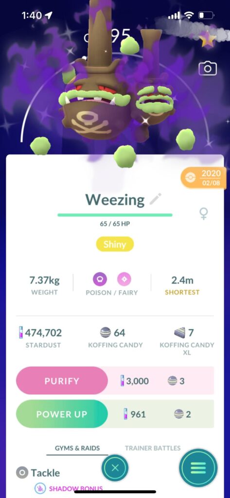 My Weezing collection 😊