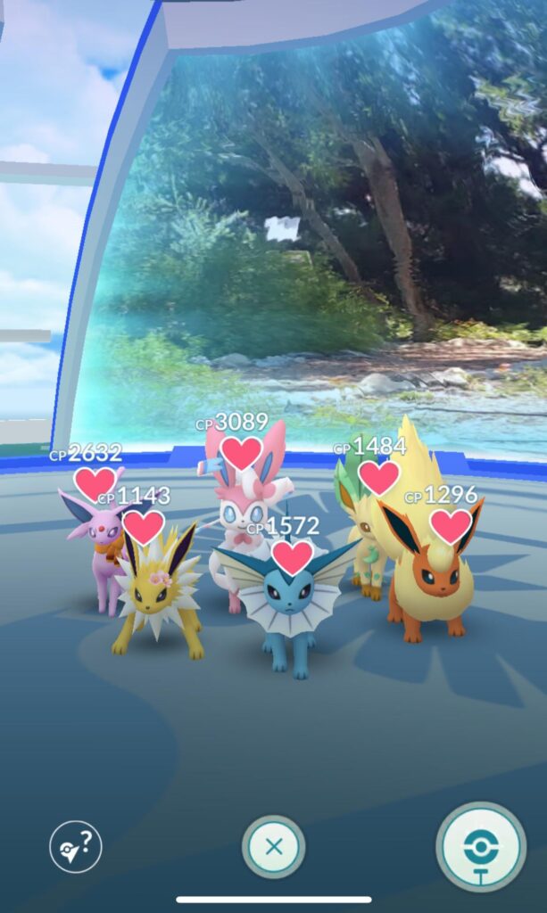 love an eeveelution gym