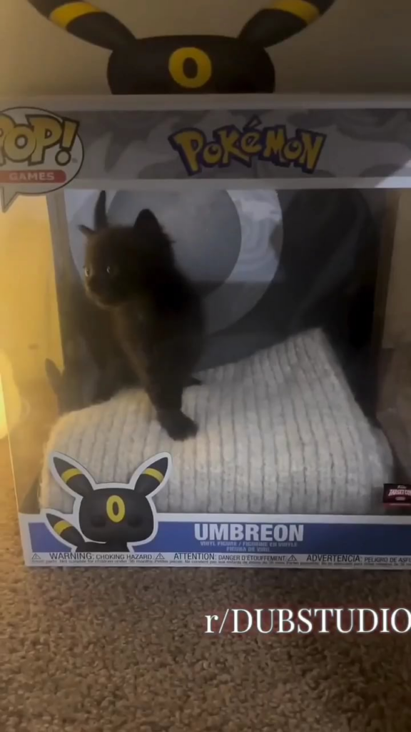 He's ready to evolve
