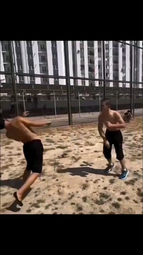 Pickpocket ability + Fling