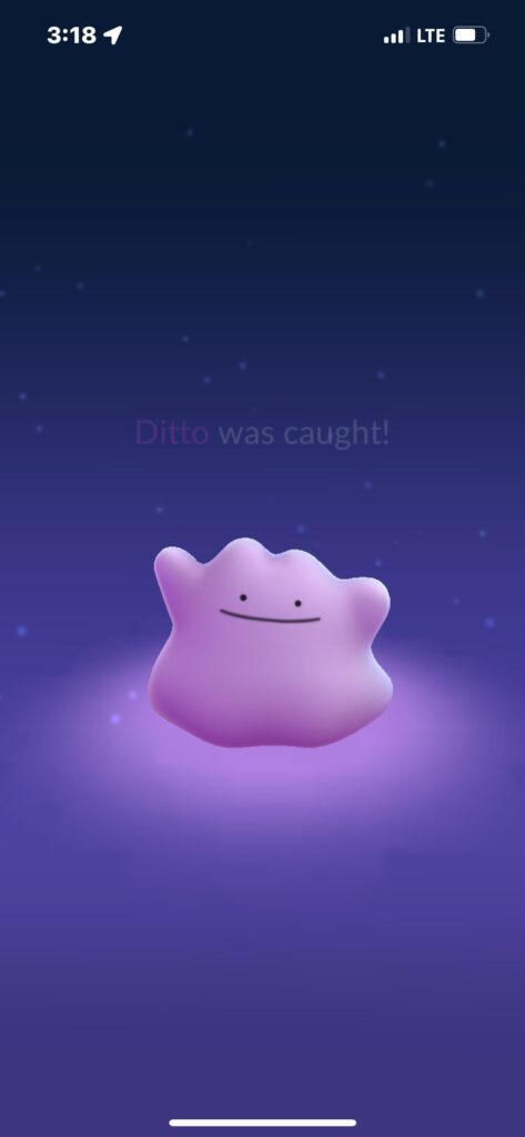 After 4 Months this little Sh!t has been caught