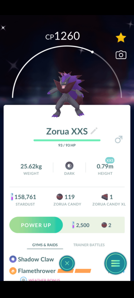 Really wanted the bidoof then got this thing?