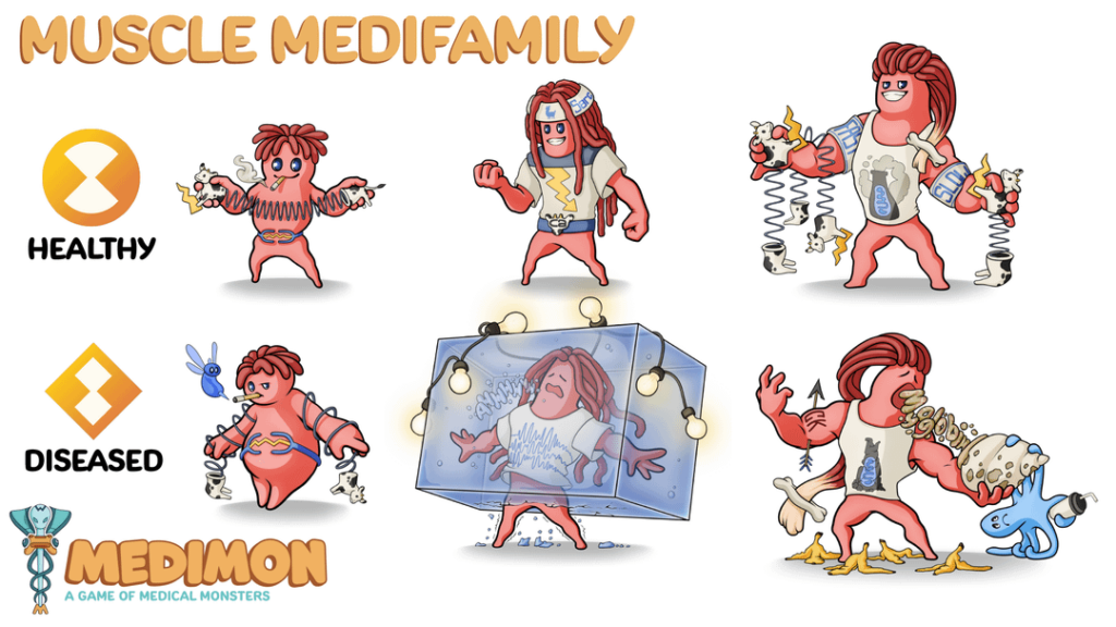 What do you think of our evolutionary line based on the muscle system? Looking for feedback