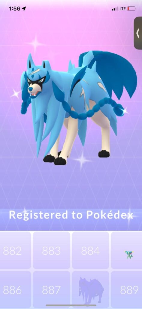 Dexed zacian as a shiny 😎